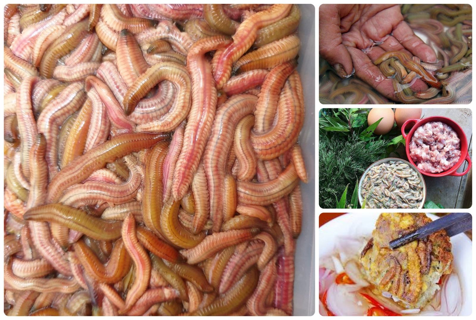 Chuẩn bị các nguyên liệu cần thiết cho món chả rươi thơm ngon chuẩn vị 